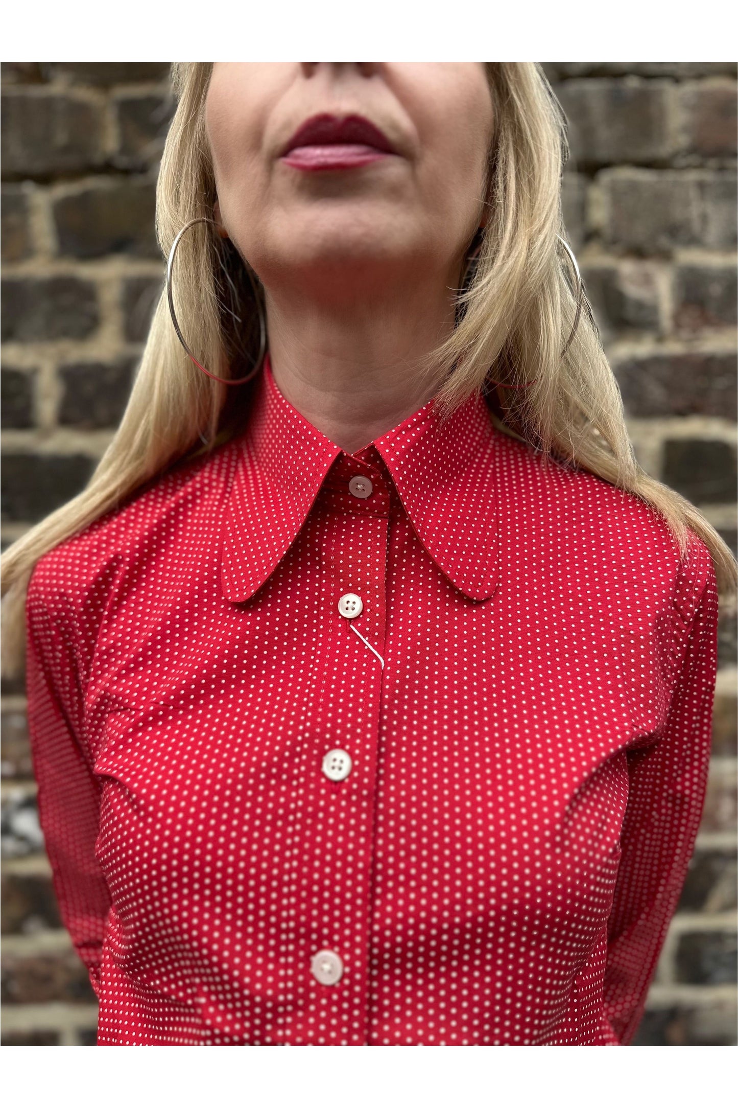 'The Lola' Cherry Red and White Pindot Beagle Collar - Shirt