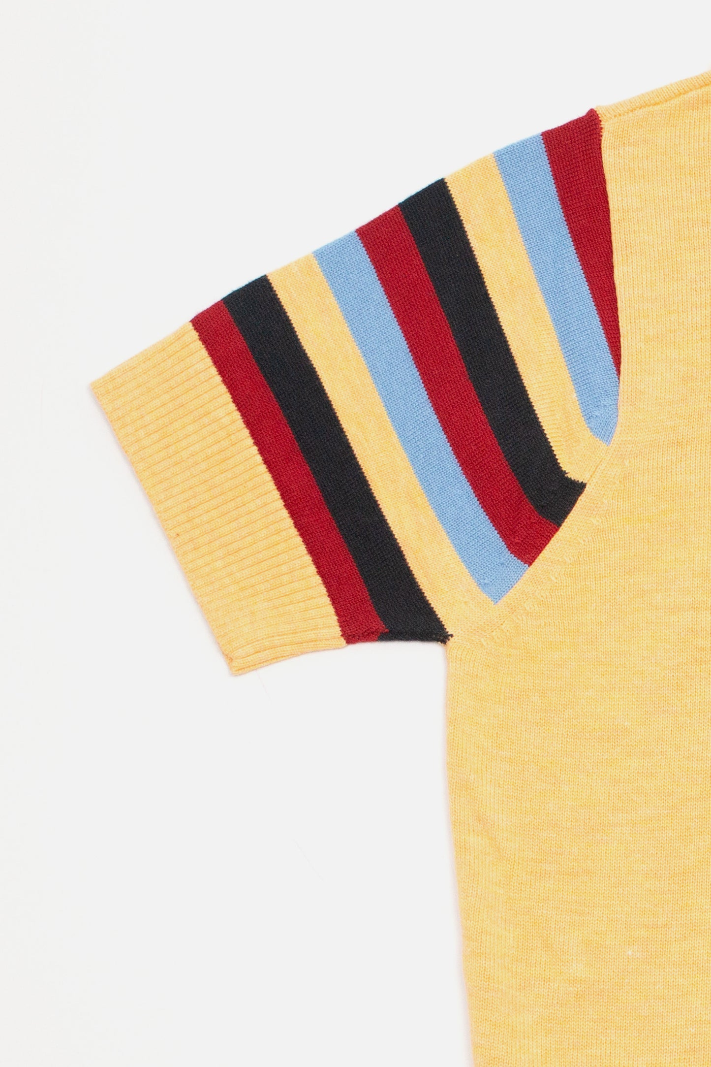 Babs Stripe Sleeve Pineapple - Polo Knit