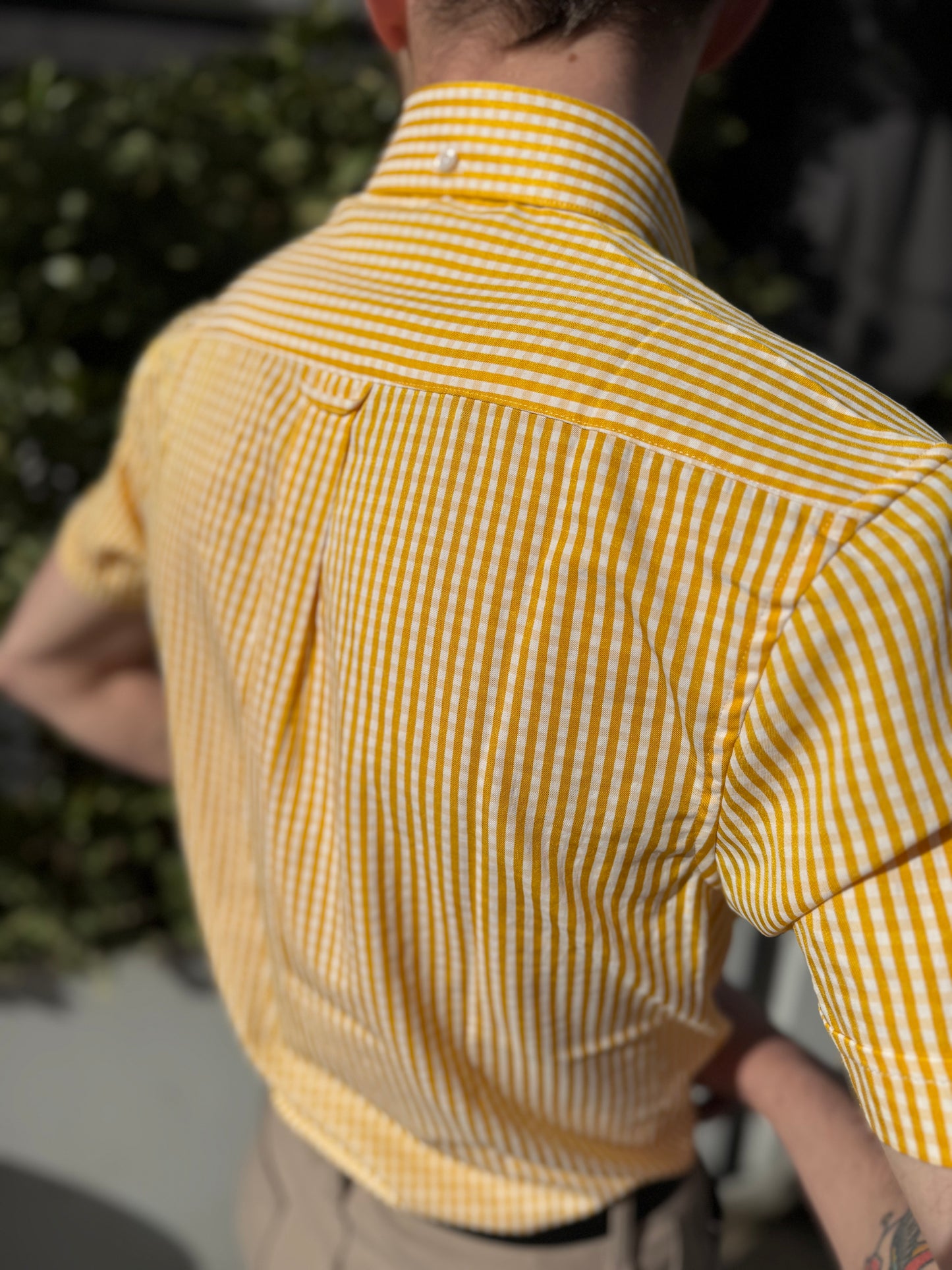 Frazer Pineapple Gingham Seersucker S/S - Shirt