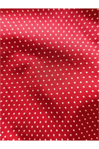 'The Lola' Cherry Red and White Pindot Beagle Collar - Shirt